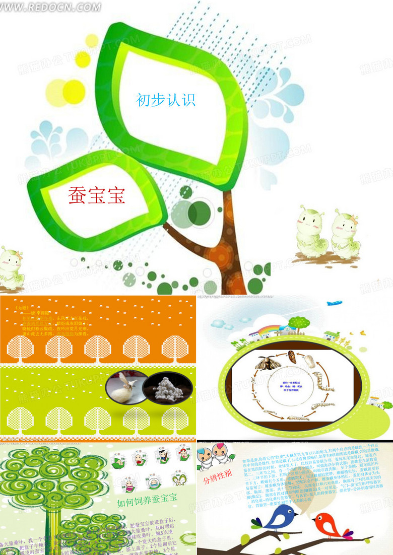 蚕宝宝