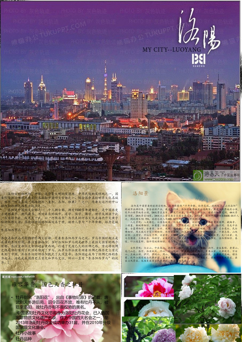 洛阳.ppt