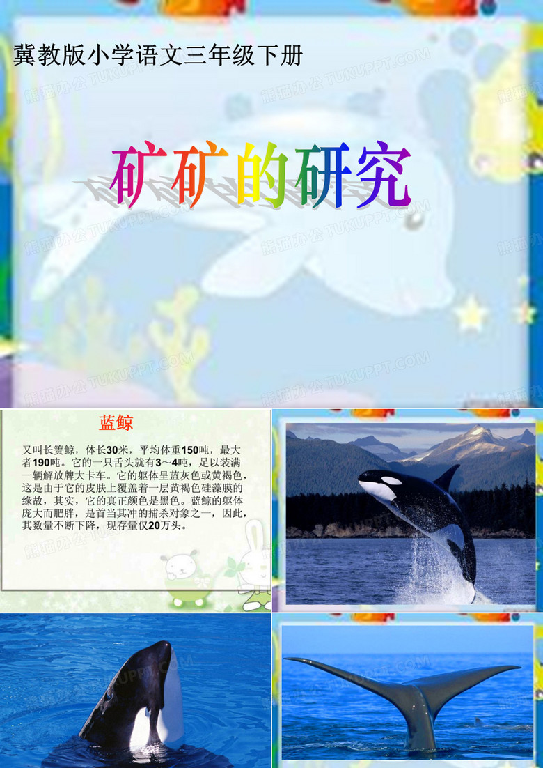 矿矿的研究