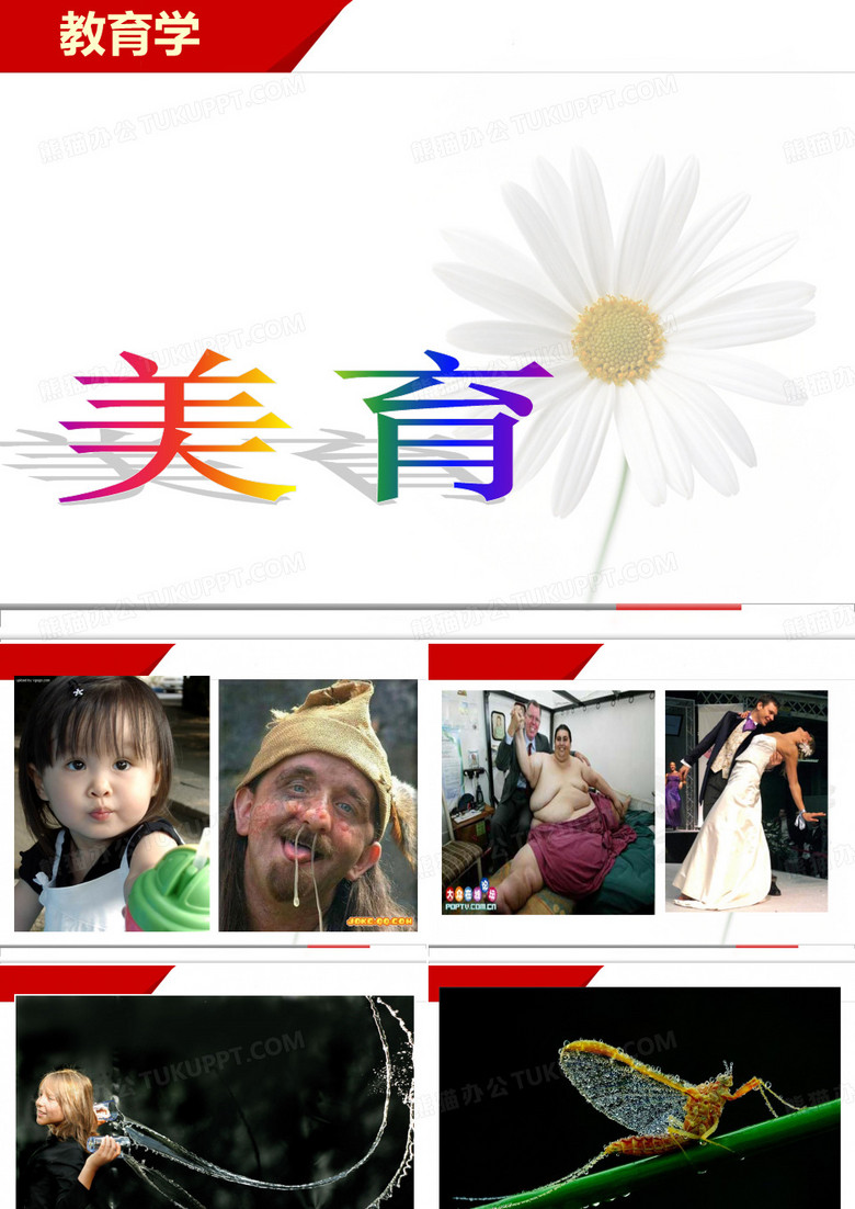 美育