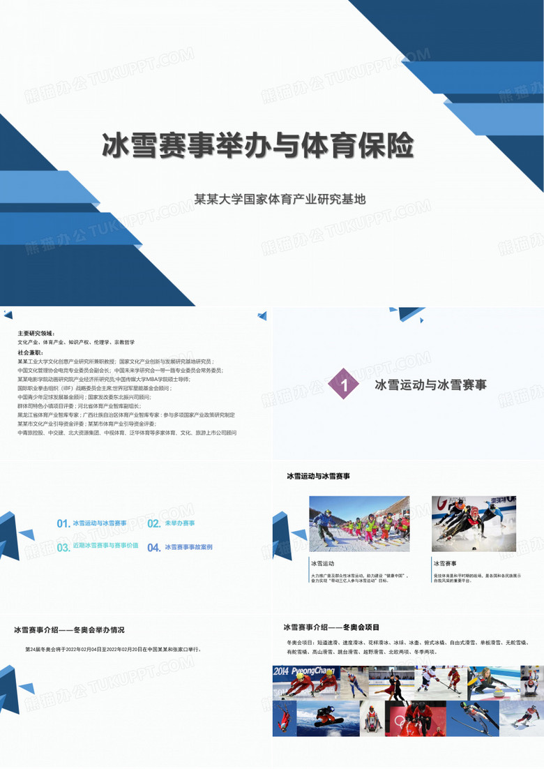 体育运动 运动保险 冰雪运动 冰雪赛事与体育保险