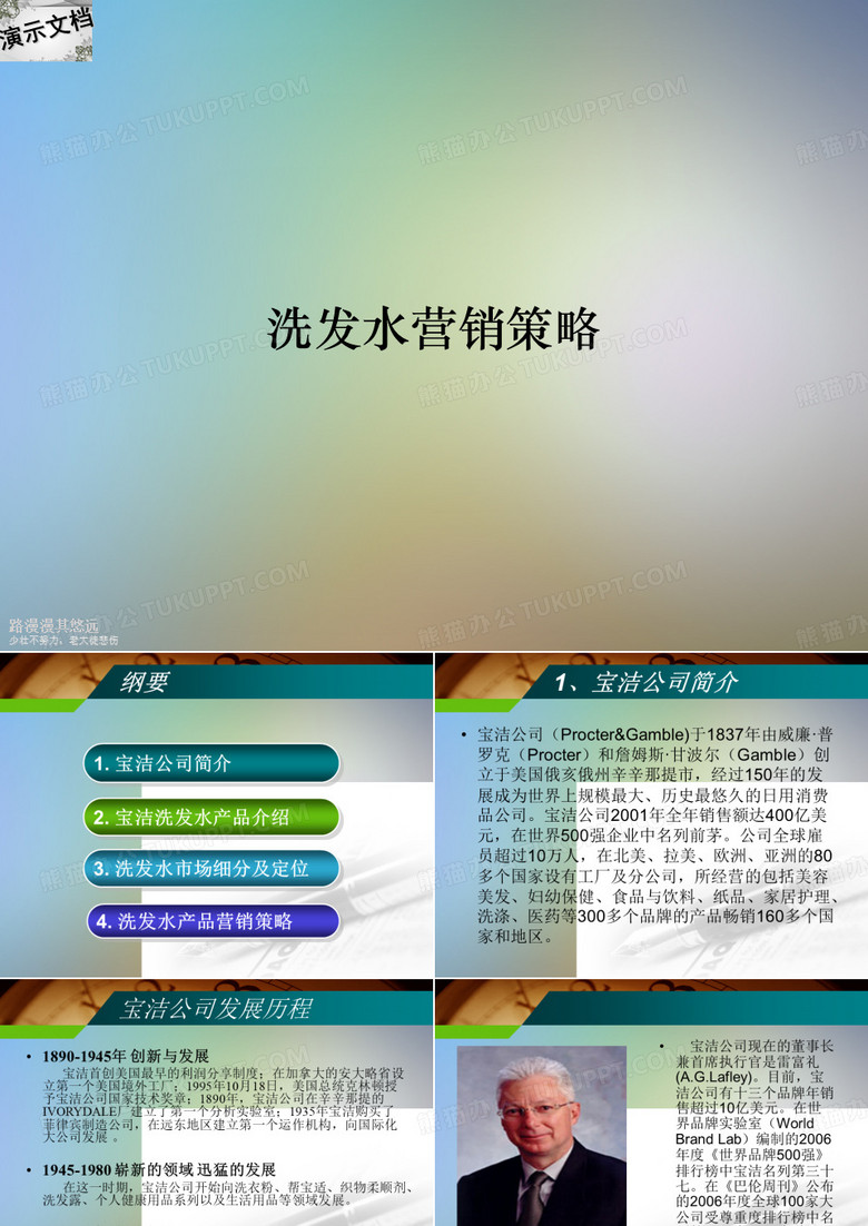 洗发水营销策略