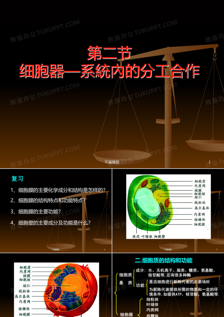 细胞器系统内的分工合作