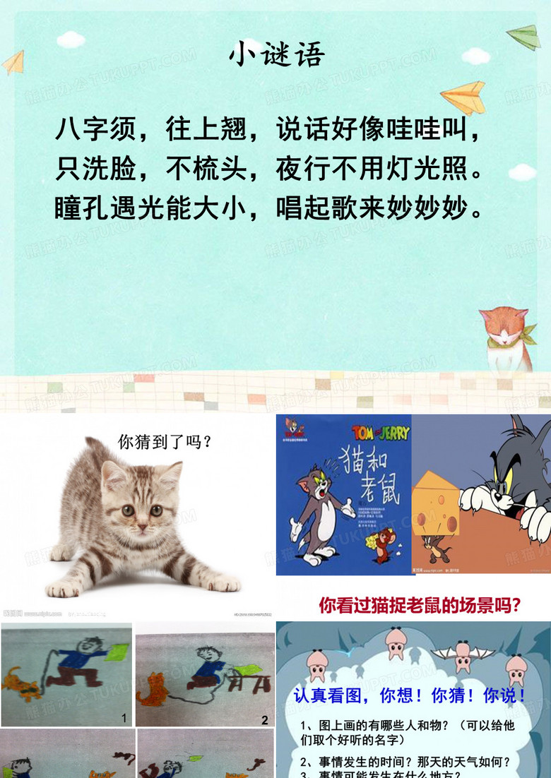 猫和老鼠新编