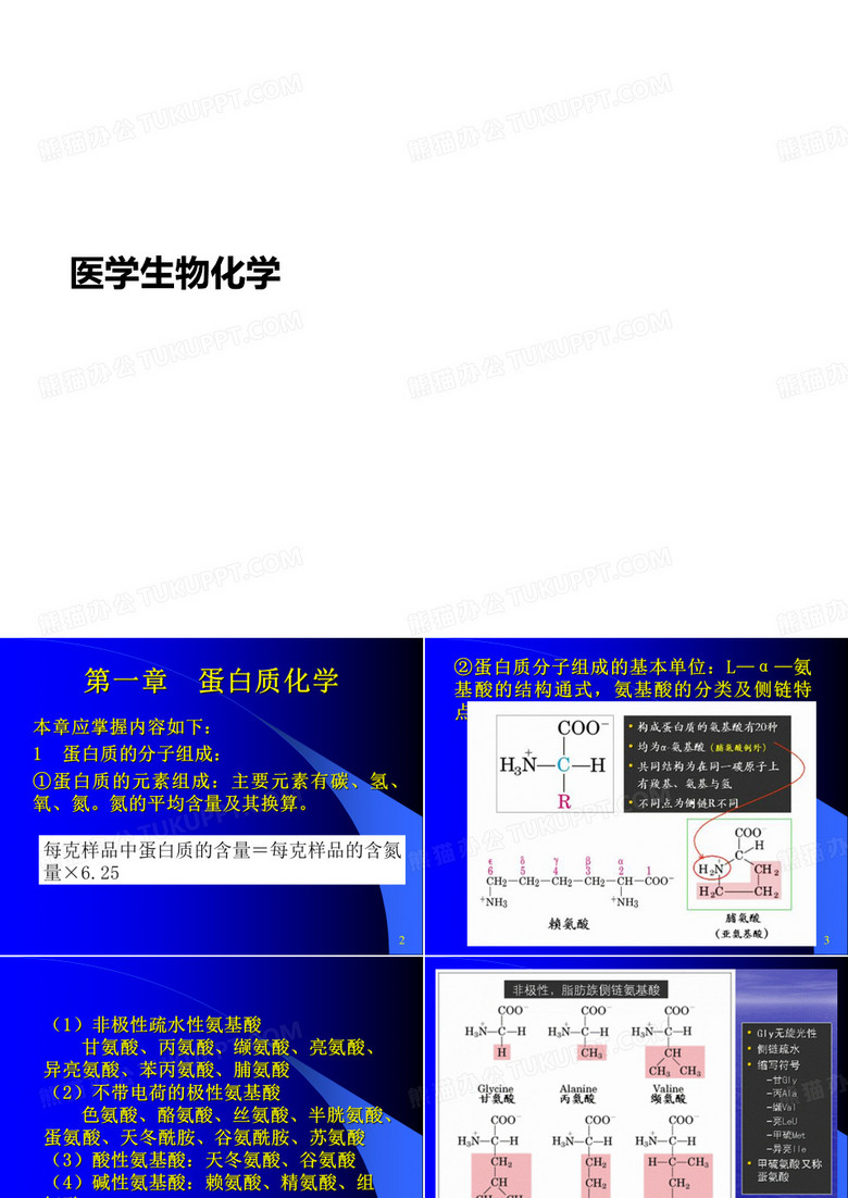 医学生讲义物化学