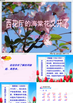 西花厅的海棠花又开了