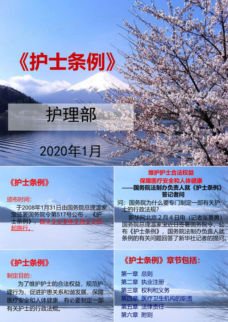 《护士条例》PPT