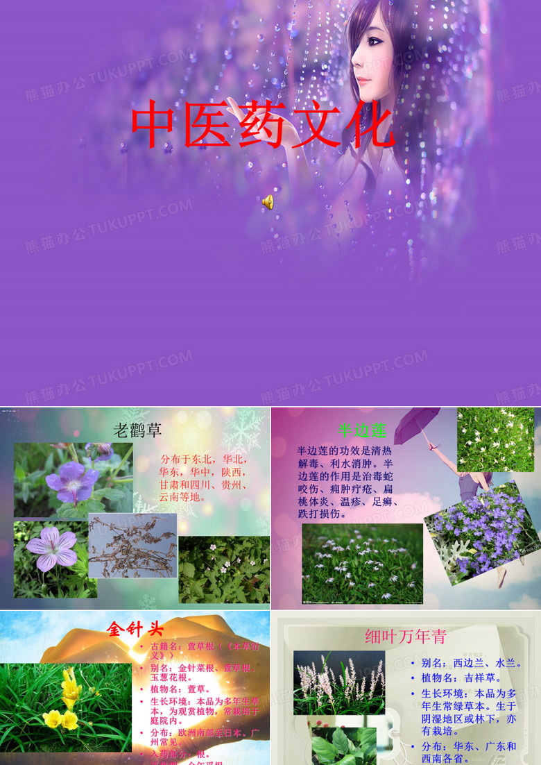 中医药文化.ppt