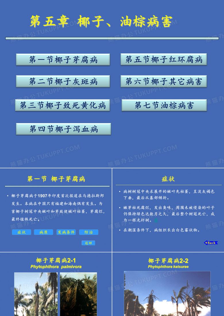 第五章椰子、油棕病害