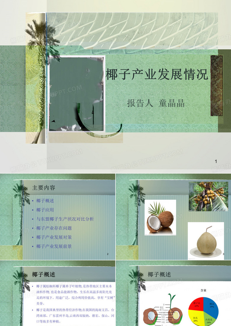 椰子产业发展情况ppt课件
