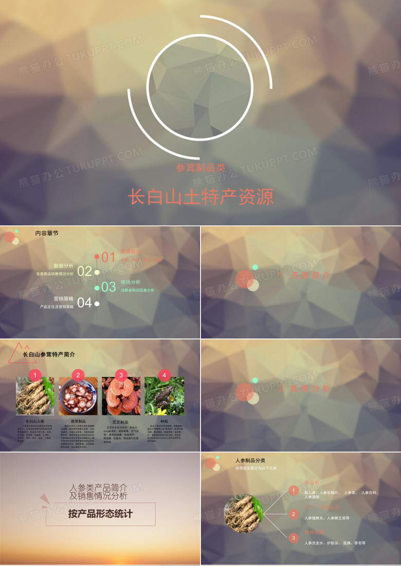 长白山土特资源ppt