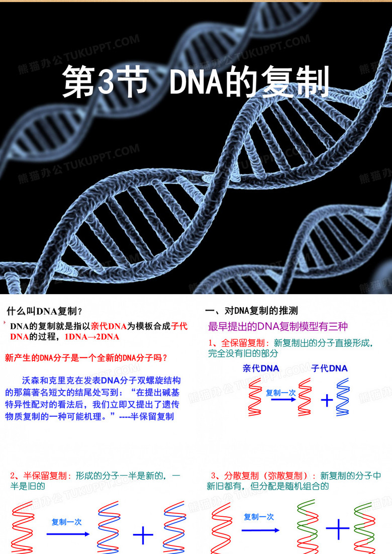 高中生物：DNA的复制