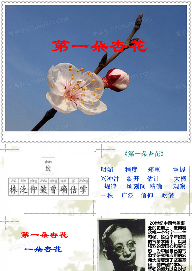 2第一朵杏花ppt