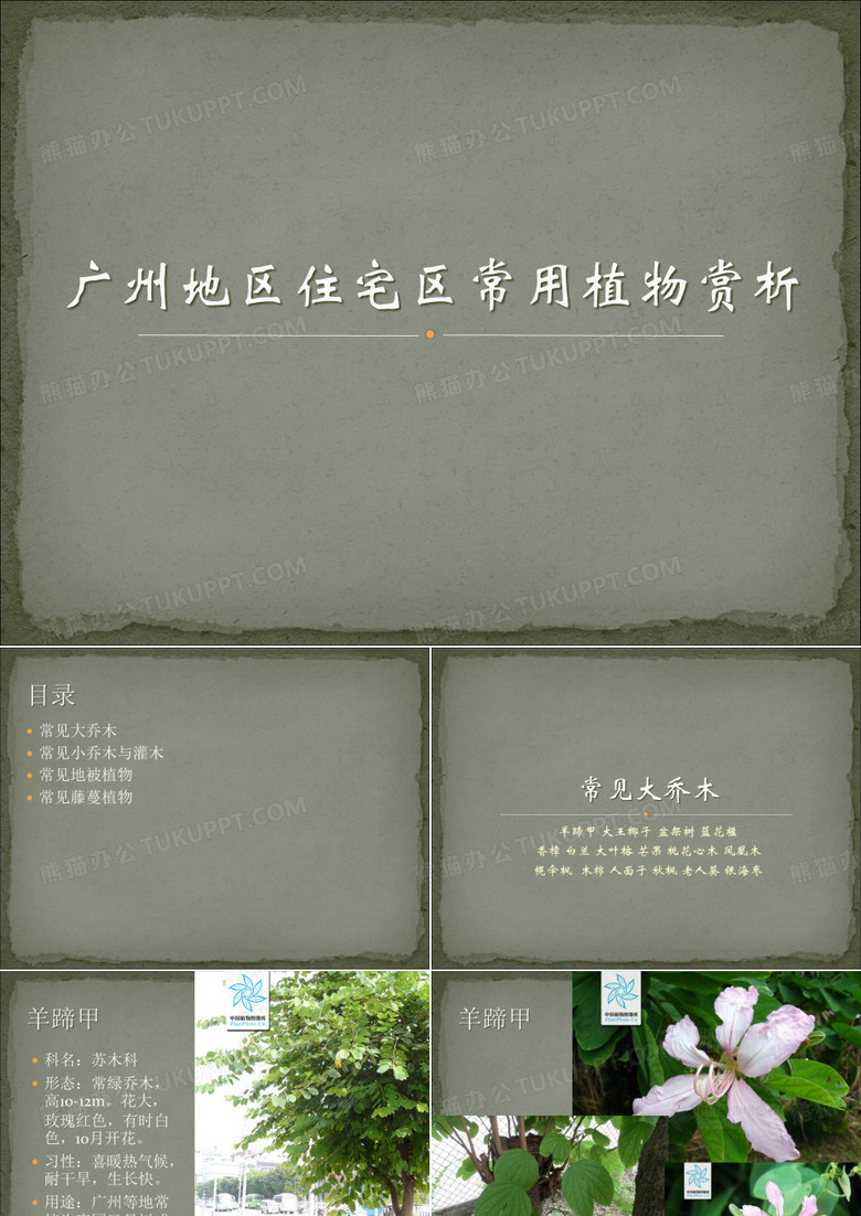 广州地区住宅区常用园林植物介绍