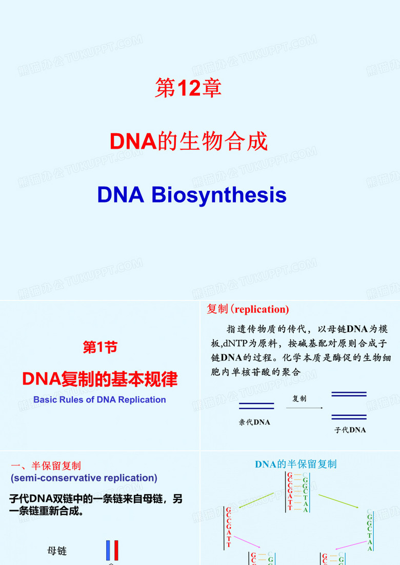 DNA生物合成
