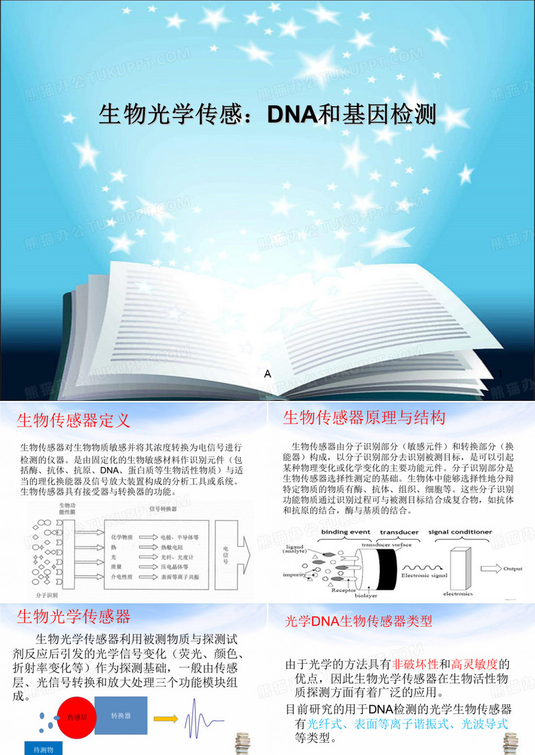 光学DNA生物传感器