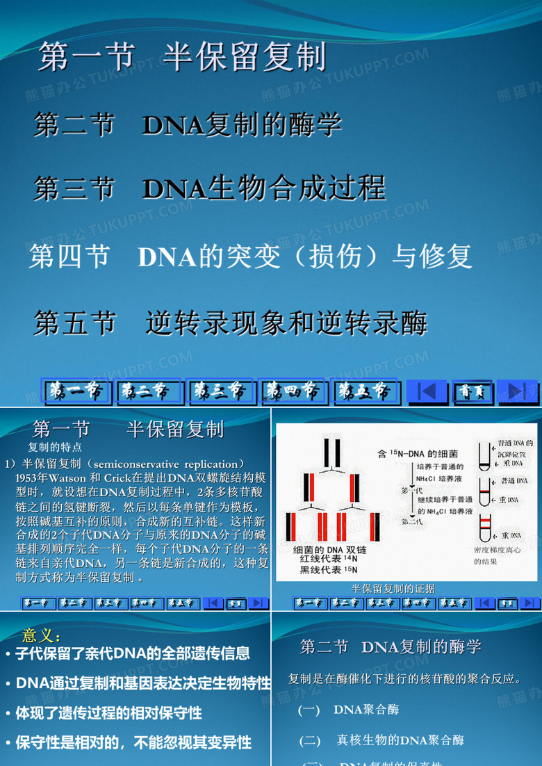 DNA生物合成-(3)
