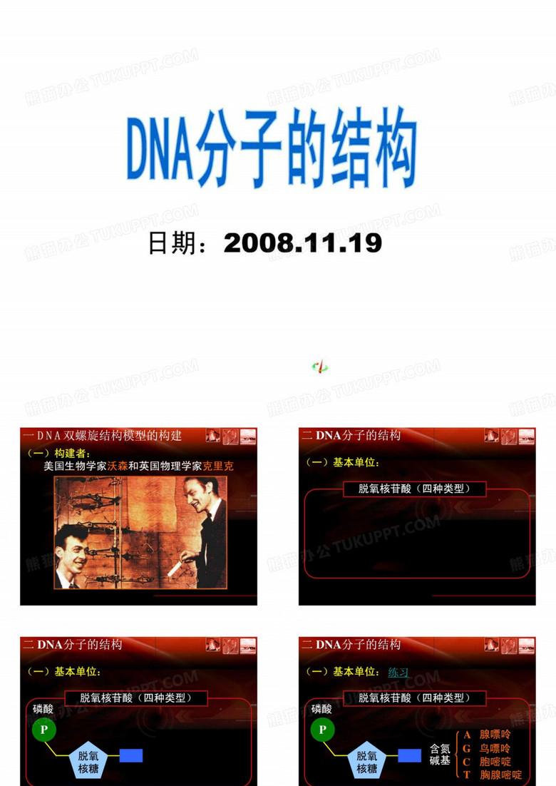 高中生物 dna结构