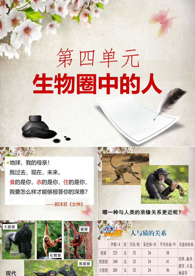 人类的起源与进化