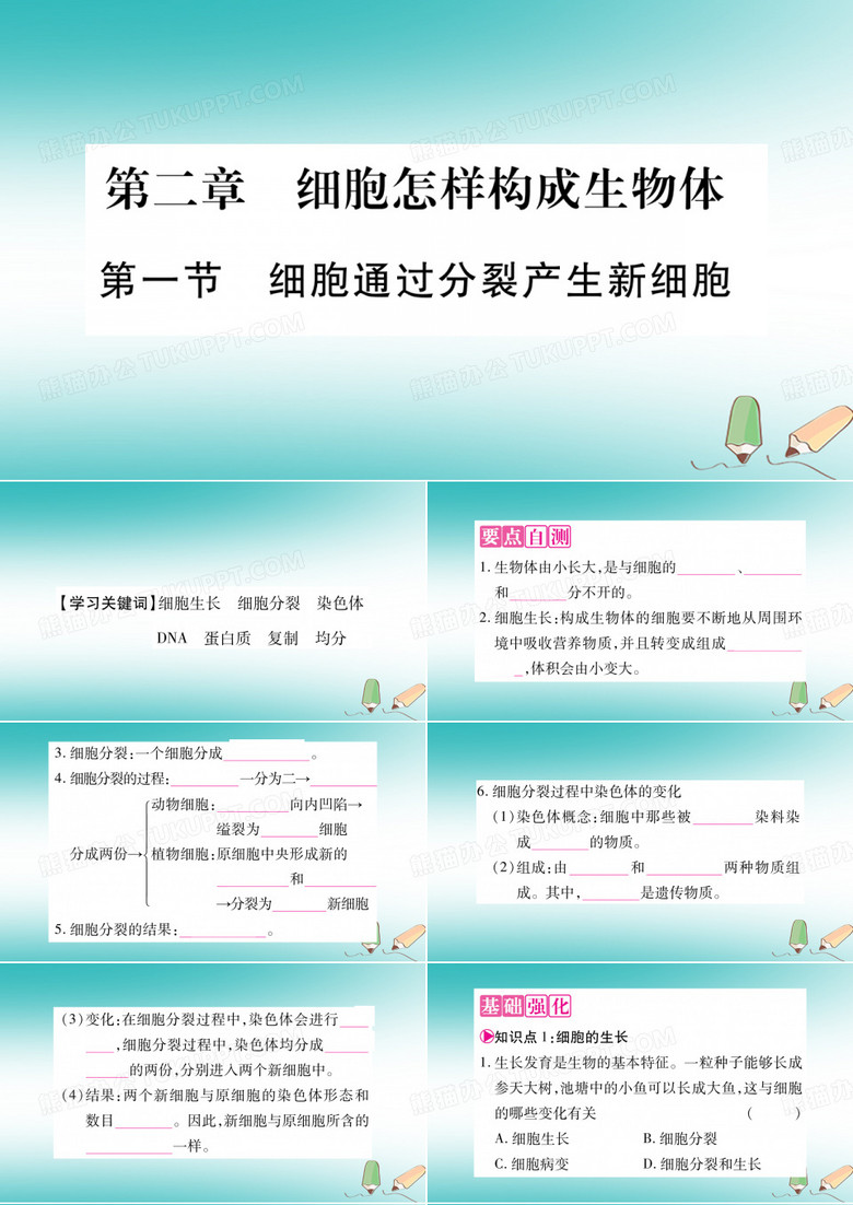 2018秋七年级生物上册第2单元第2章第1节细胞通过分裂产生新细胞习题课件新版新人教版20180919552