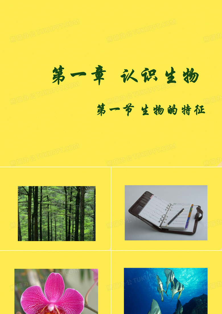 七年级生物上册第一单元第一章第一节生物的特征课件(