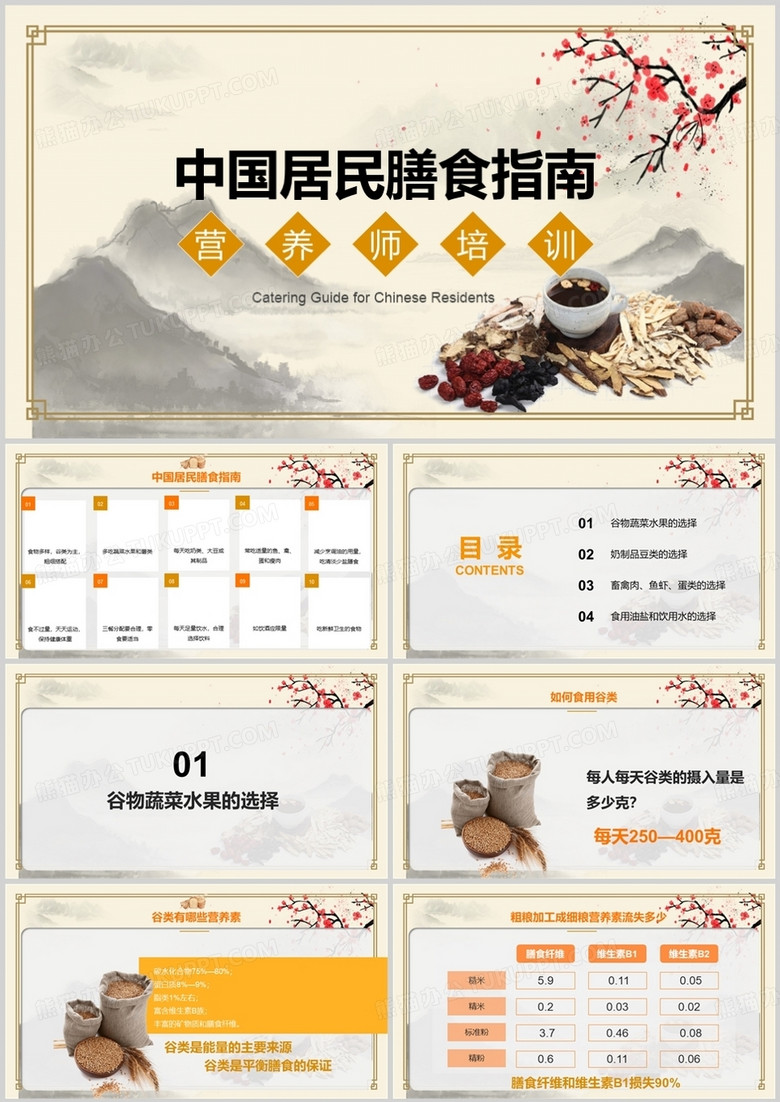 营养师培训中国居民膳食指南PPT模板