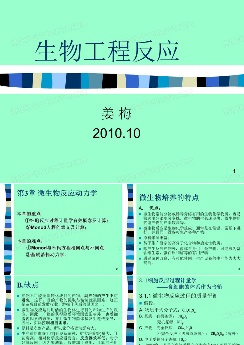生物反应工程生物工程反应PPT课件