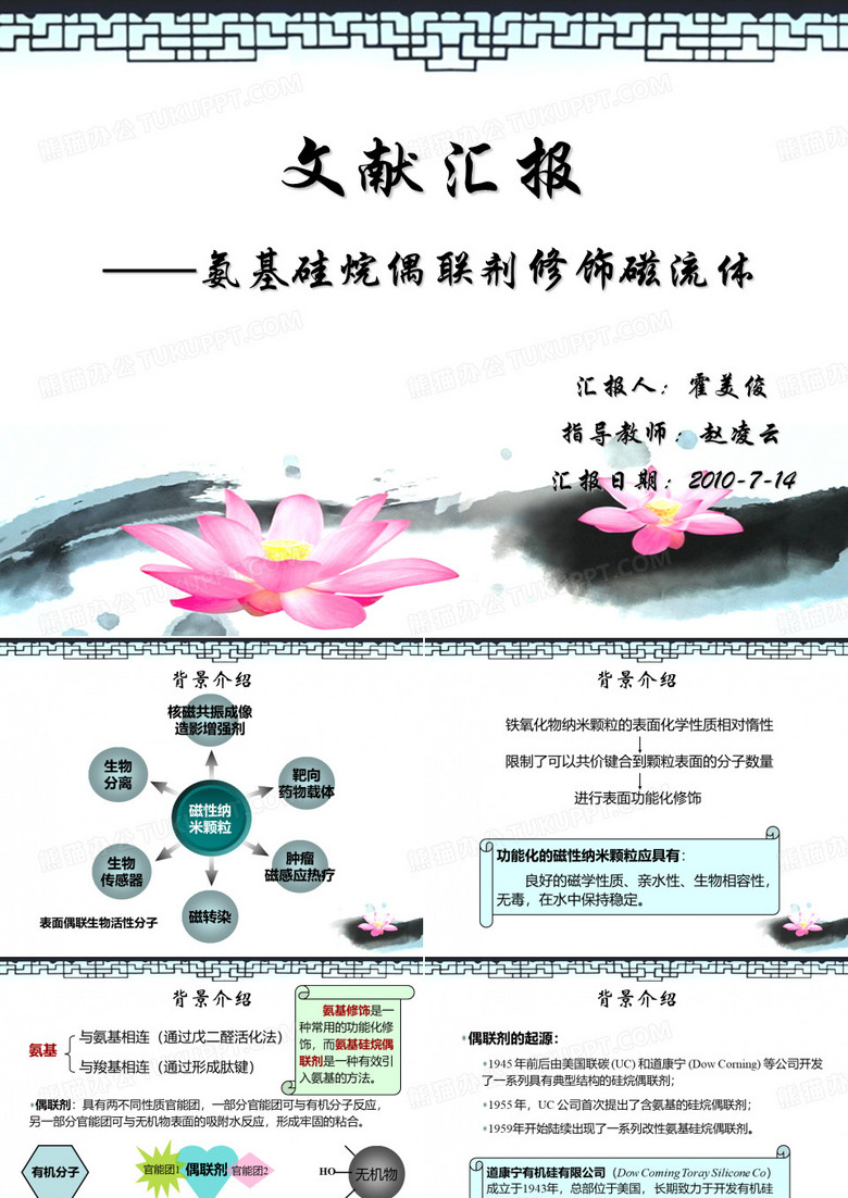 文献汇报重点