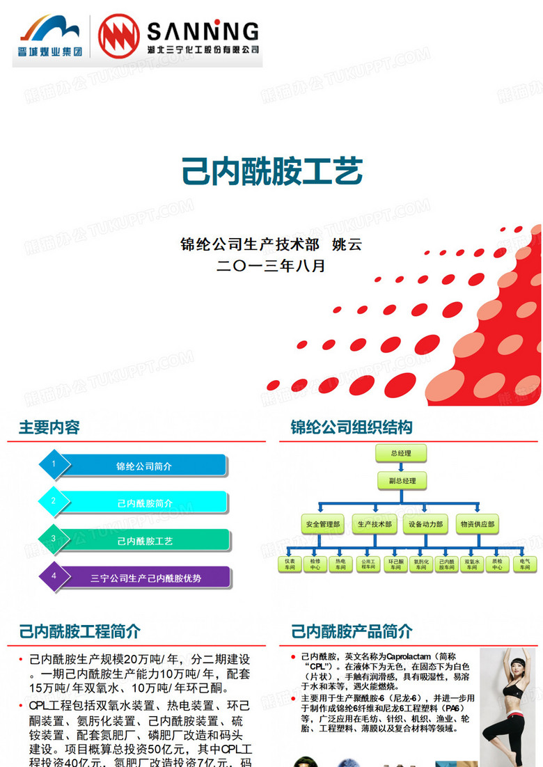 己内酰胺工艺(精简)