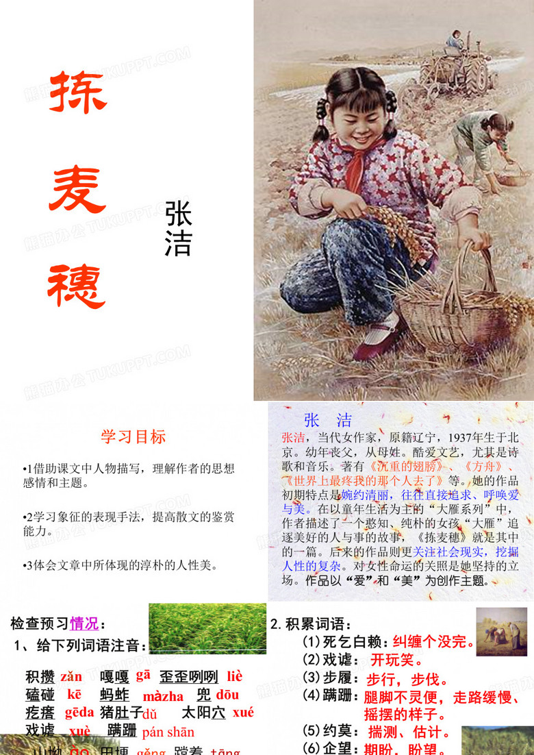 《拣麦穗》课件