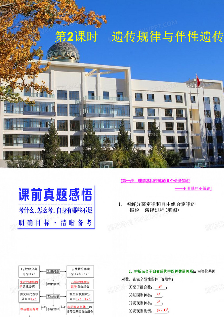 遗传规律与伴性遗传