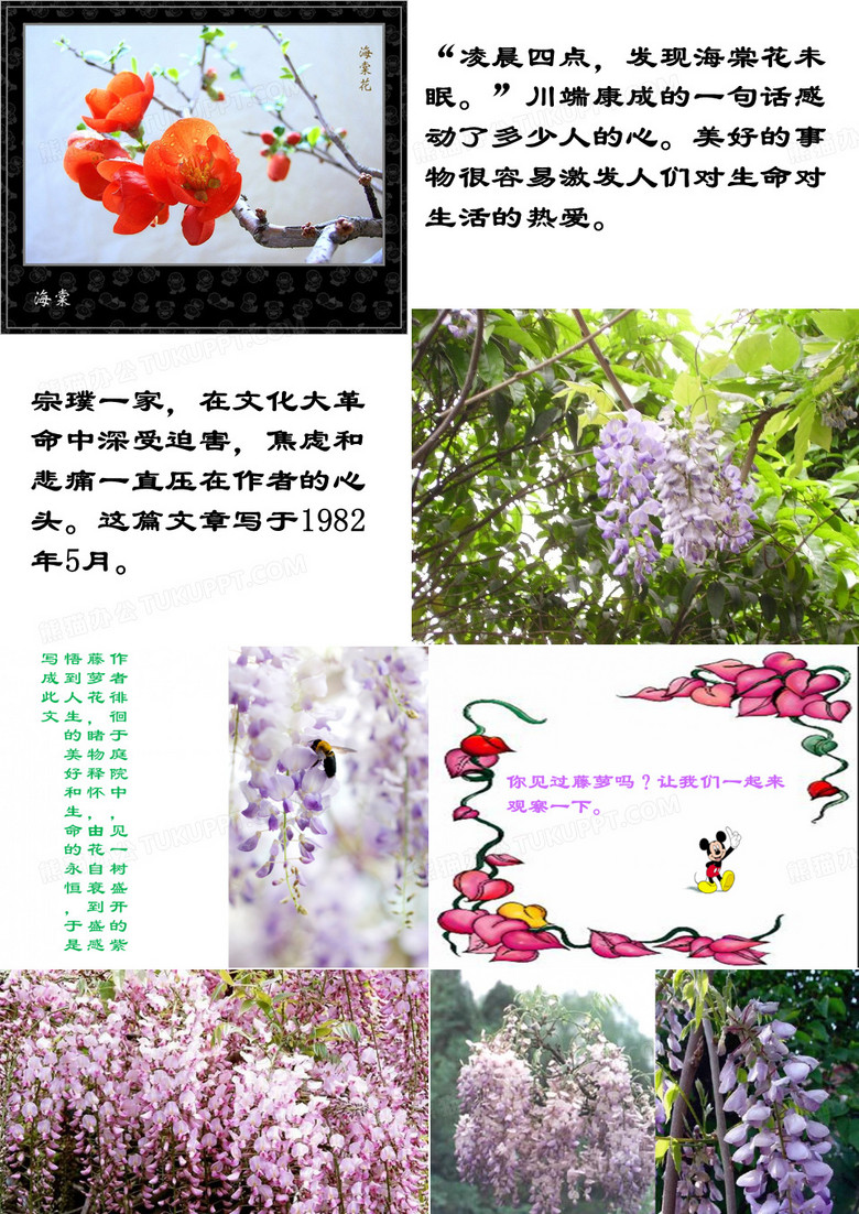 最新人教版紫藤萝瀑布(完整版)