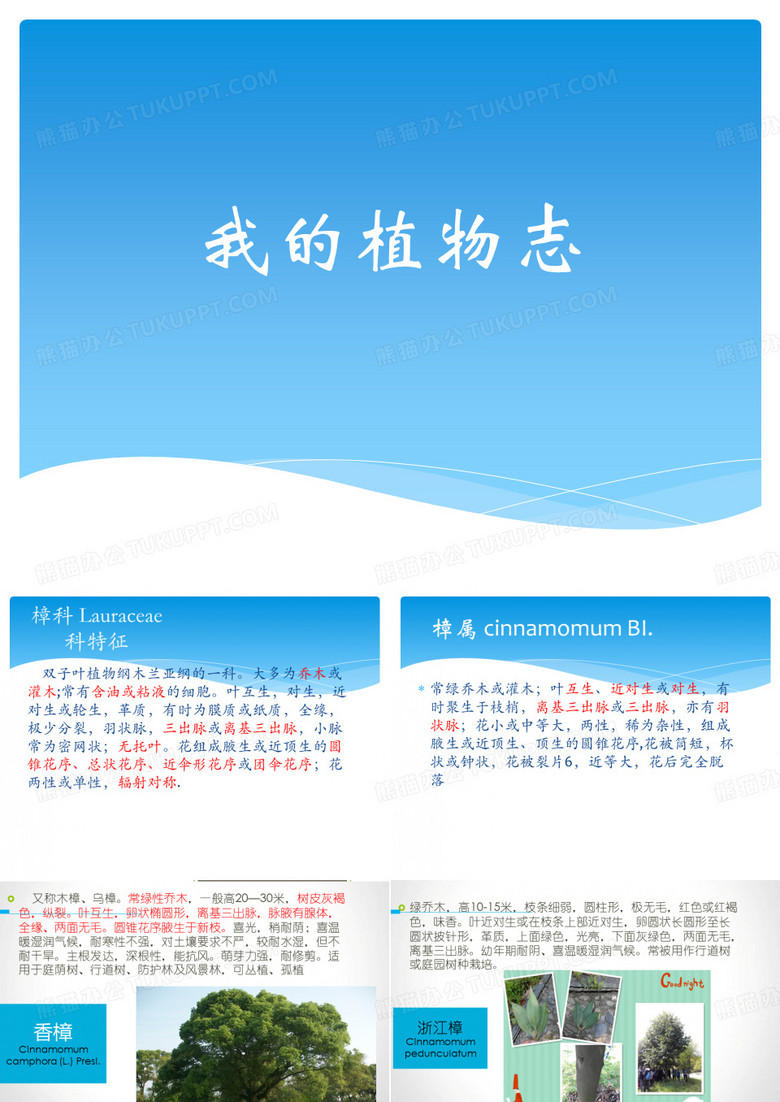 植物介绍