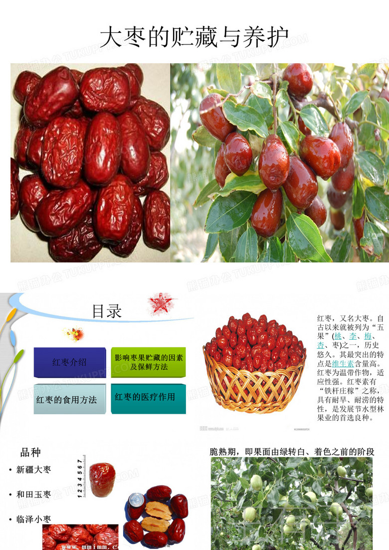 红枣ppt..ppt最新