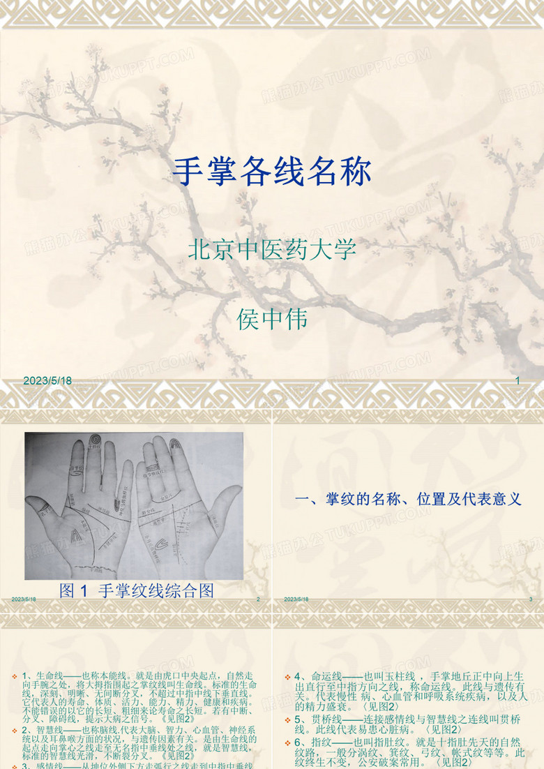 手掌各线名称