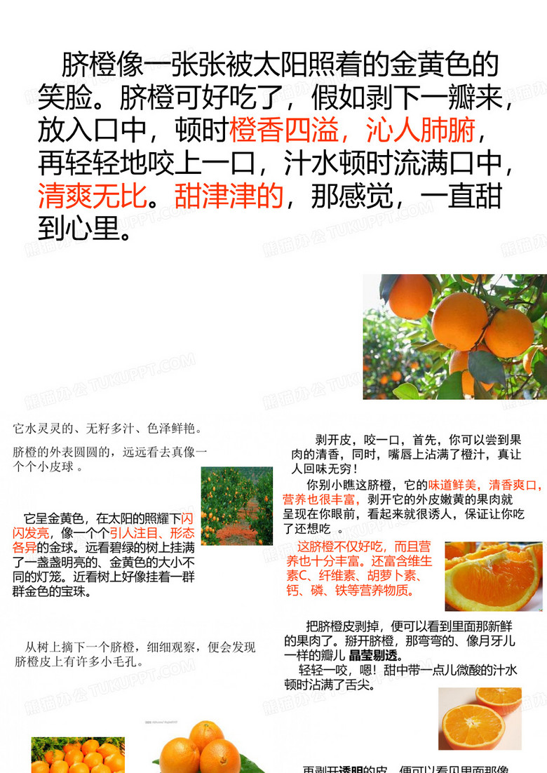 脐橙ppt课件