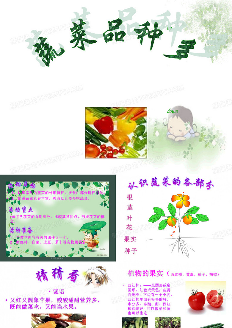 认识蔬菜