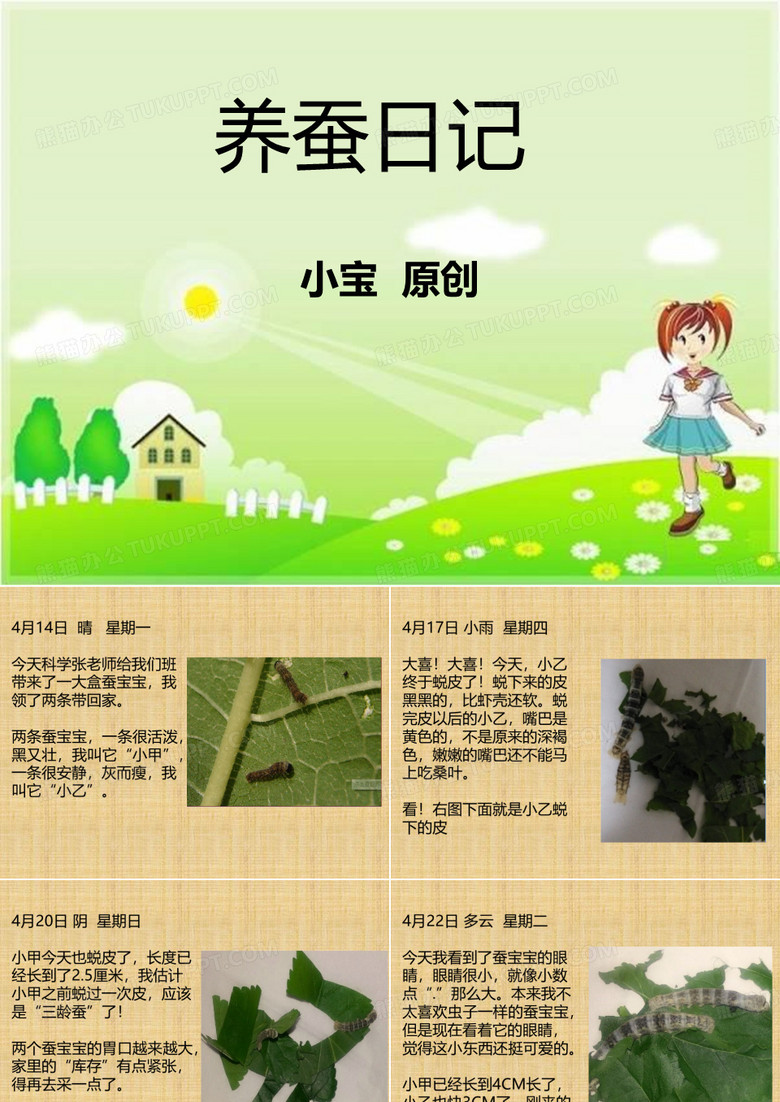 养蚕日记