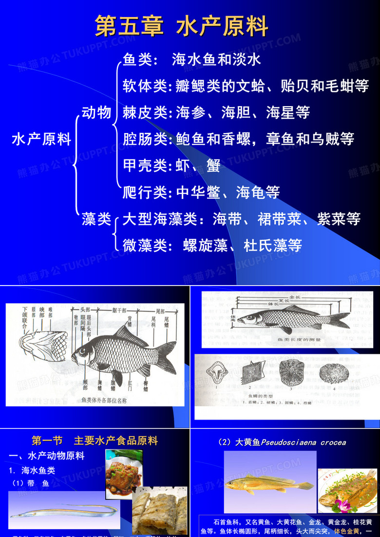 水产原料