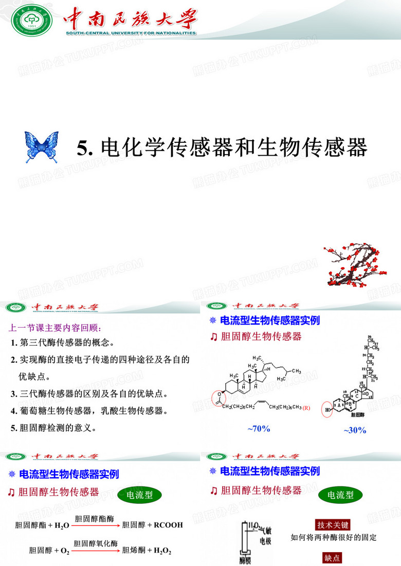 电化学传感器和生物传感器