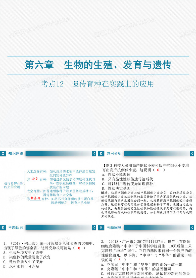 广东中考生物一轮复习课件：第六章-考点12 遗传育种在实践上的应用