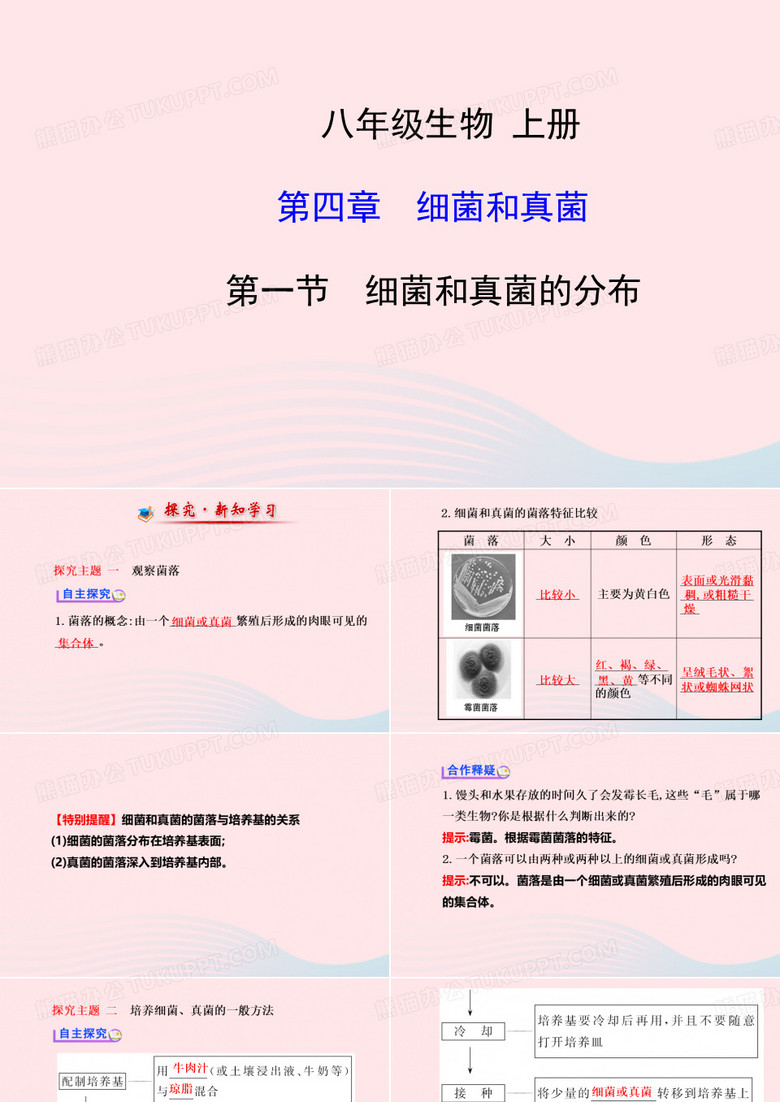 山东省实验中学2020年6月编制八年级生物上册第五单元第四章第一节细菌和真菌的分布课件