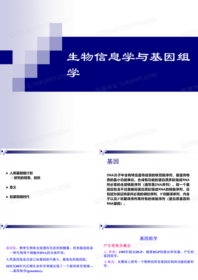 生物信息学与基因组学