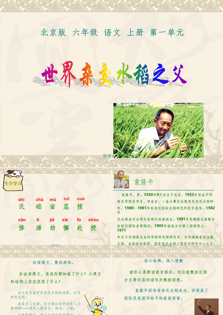世界杂交水稻之父