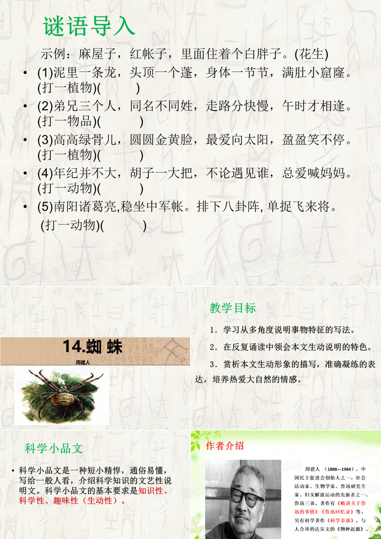 蜘蛛PPT