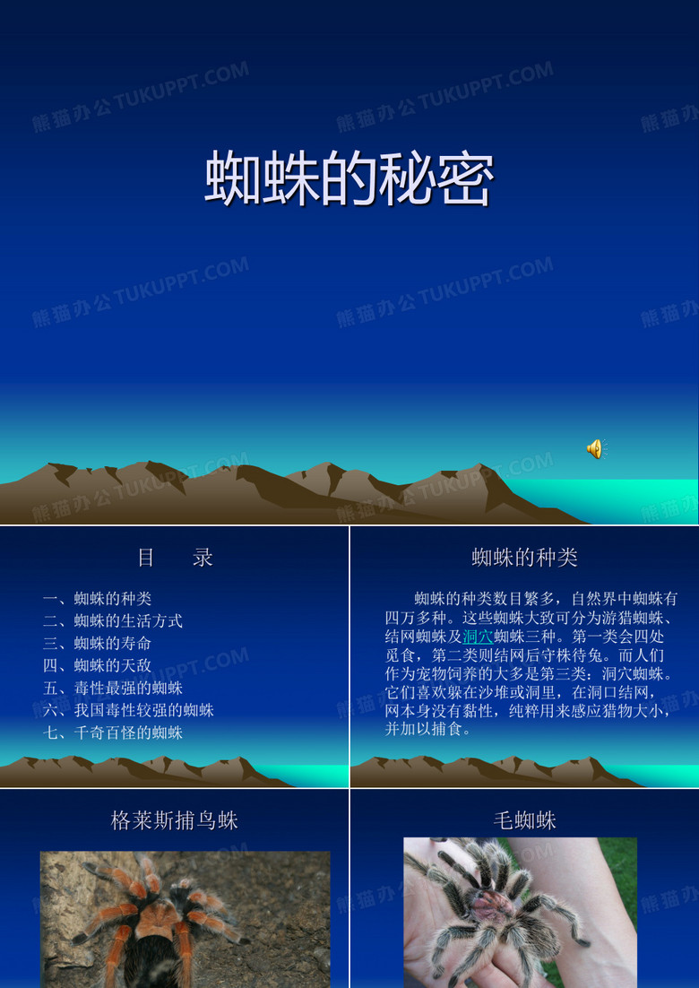 蜘蛛的秘密