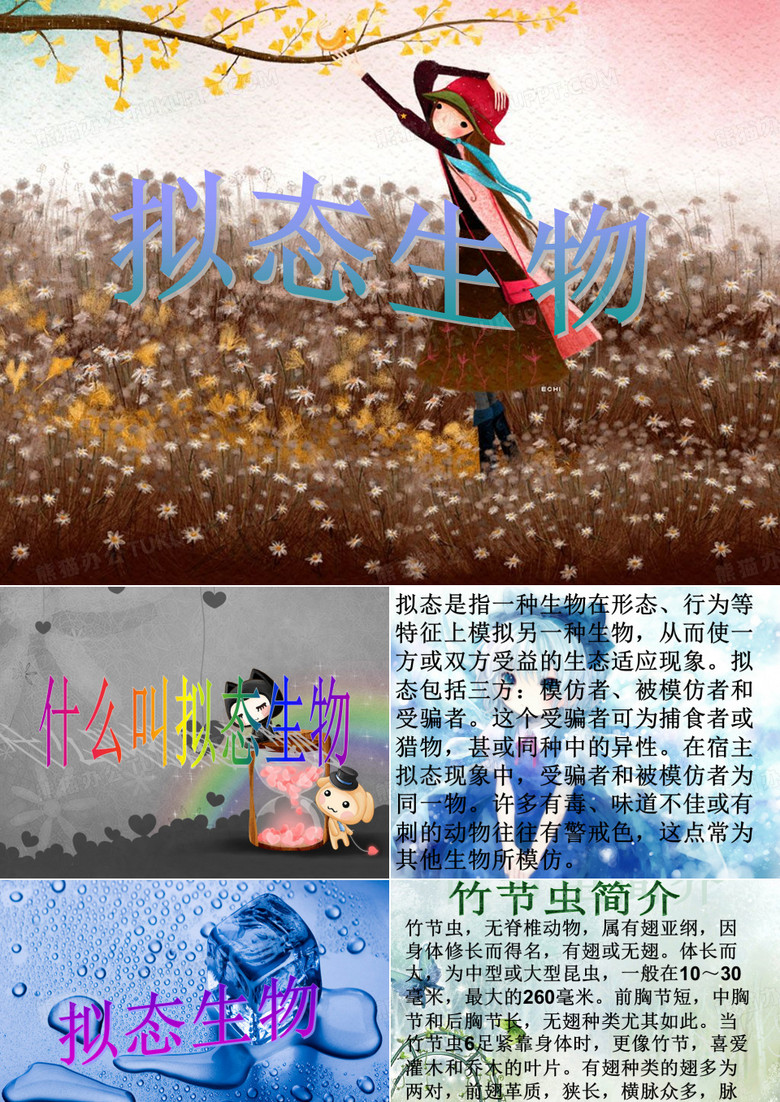 拟态生物