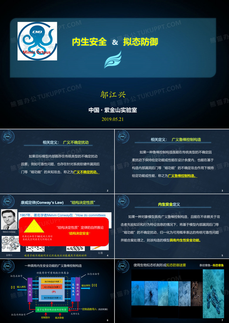 内生安全与拟态防御