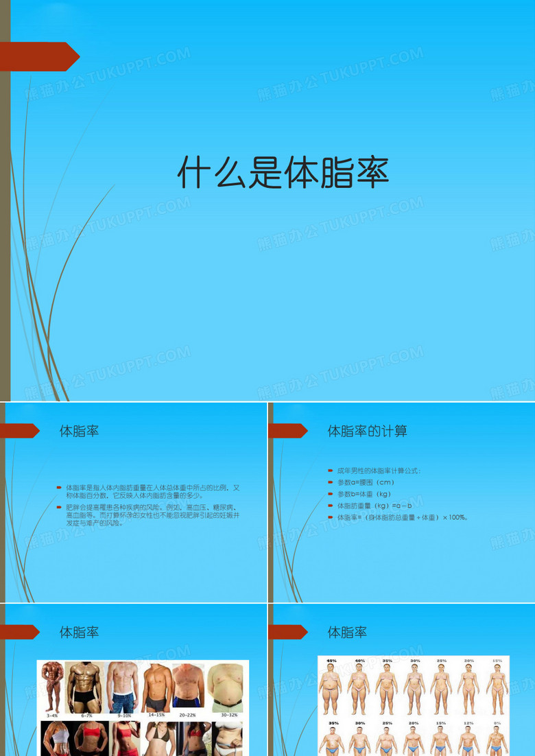 减肥减脂的原理
