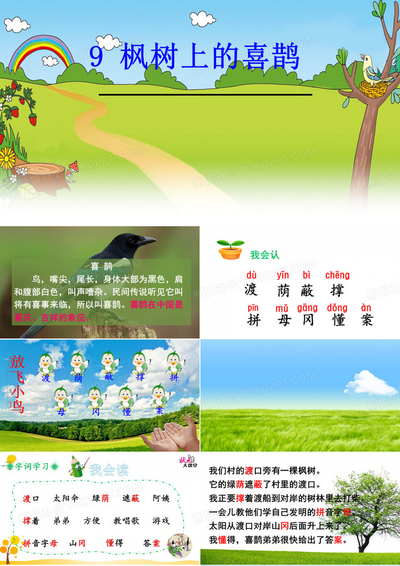 枫树上的喜鹊
